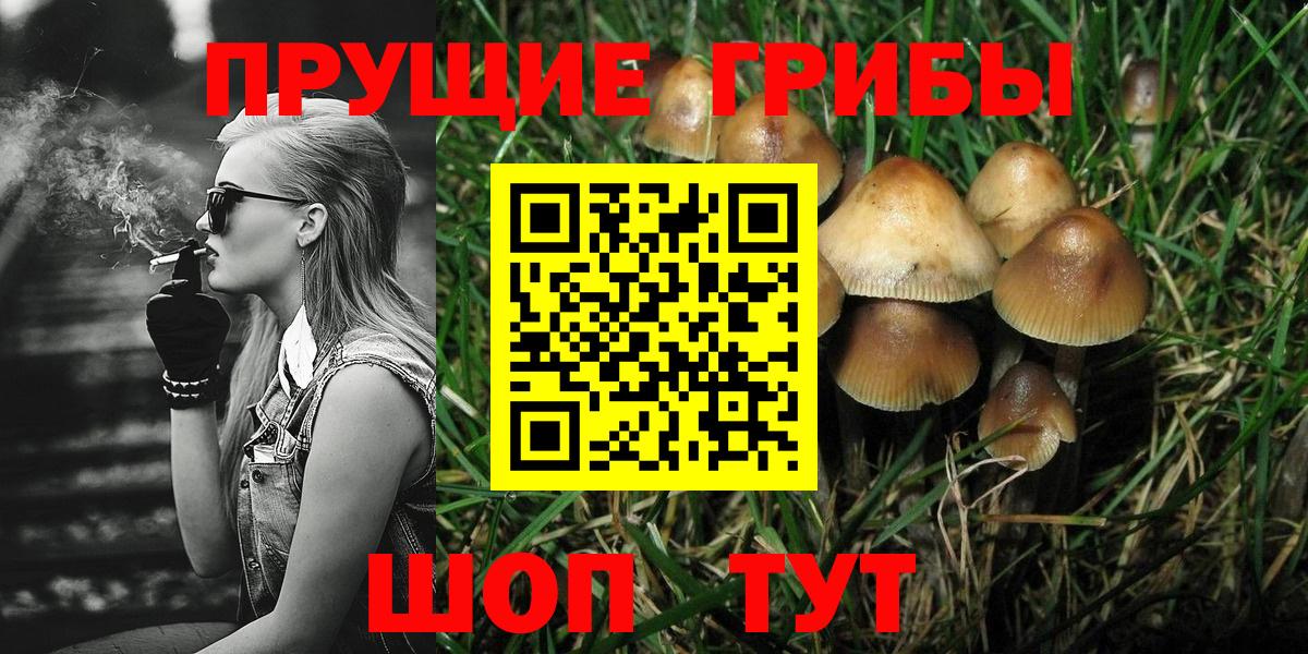 Галлюциногенные грибы мухоморы Великий Новгород