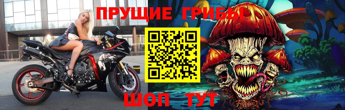 Галлюциногенные грибы MAGIC MUSHROOMS  Вход с VPN  Великий Новгород  Галлюциногенные грибы Magic Shrooms 